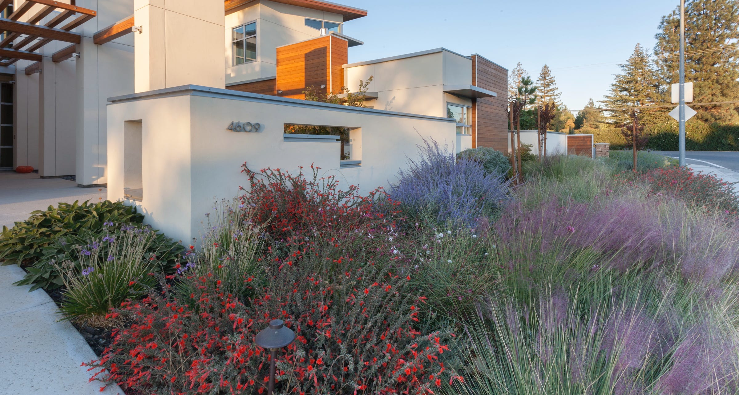 Colorful landscape at a contemporary home